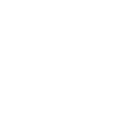 Minted Experience